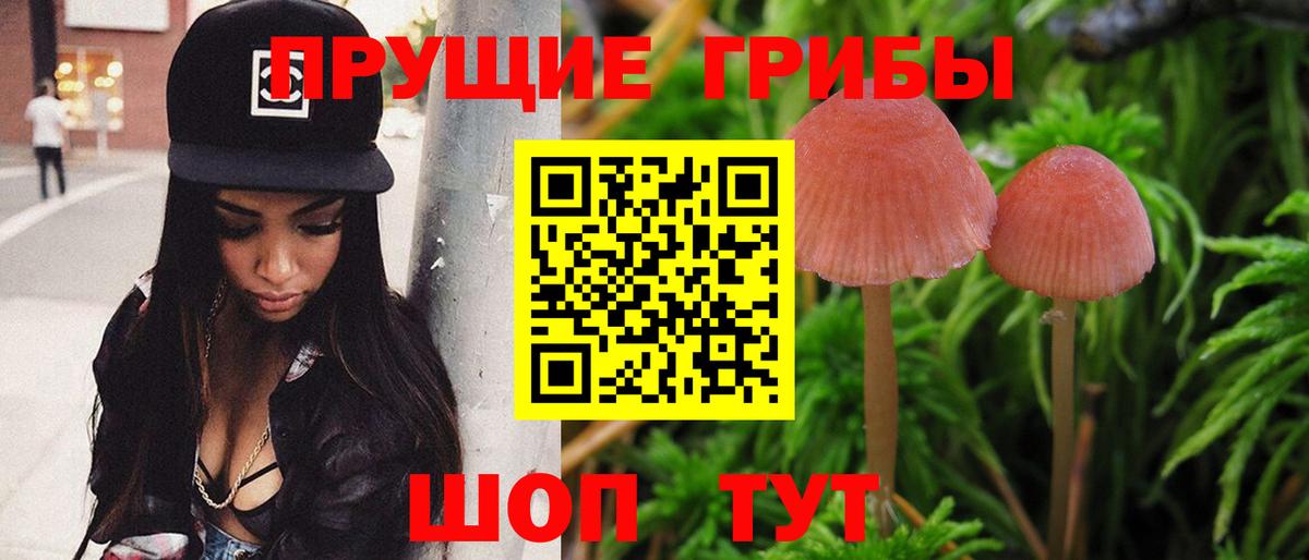 Галлюциногенные грибы ЛСД  Вход с VPN  дарнет шоп  Саянск 