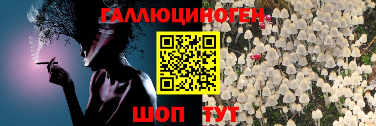 Псилоцибиновые грибы мухоморы Саянск